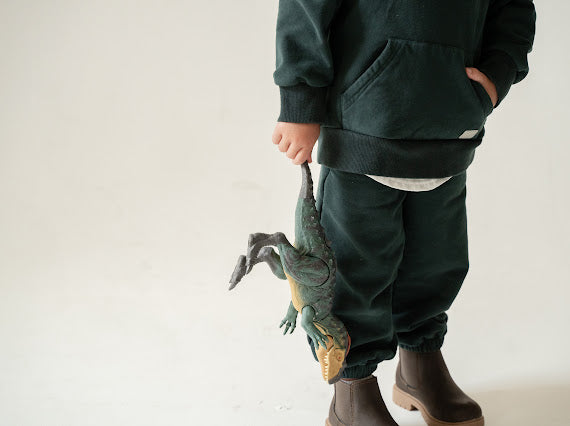 Swizz Ease Hoodie || Evergreen